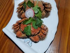 -呼吸森林·生态农庄农家乐私房菜