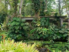 -中国科学院西双版纳热带植物园
