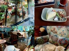 -咖法森林·咖啡  酒吧(天河店)