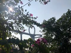 -黄腾峡天门悬廊