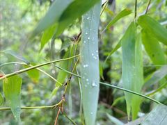 -一叶觅山(半边街店)