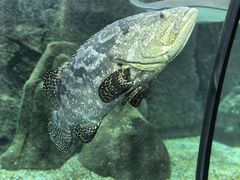 -福州罗源湾海洋世界旅游区