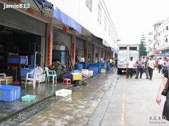 -大湾区中央湿地公园-十九涌