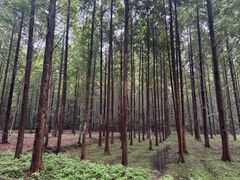 -小格里自然风景区