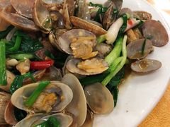 豉汁炒花甲-双月饭店·20年老字号(新村店)