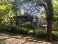 -MAMACHA妈妈茶(岳麓山店)