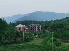 -中国扬子鳄村