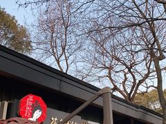-茶颜悦色(岳麓山顶店)