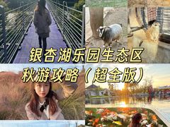 -南京银杏湖乐园