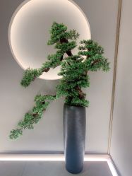 -HQ半永久纹绣纹眉