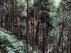 -龙湾潭国家森林公园