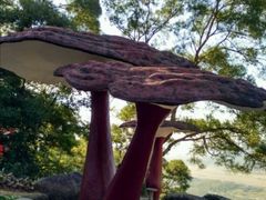 -青芝山风景名胜区