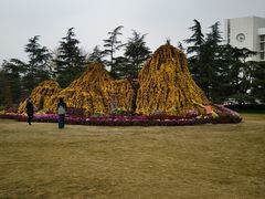 -上海大学(宝山校区)