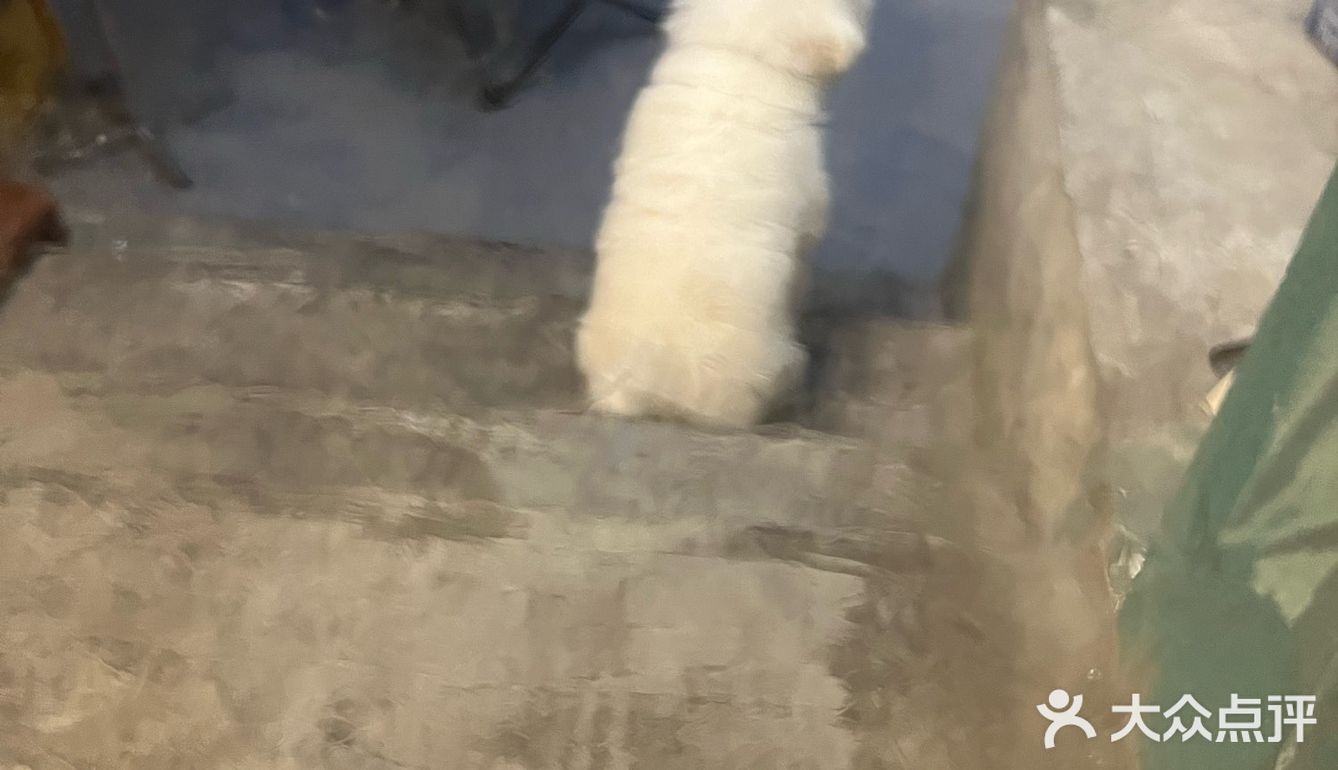 咖啡馆里的音乐小调