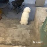 咖啡馆里的音乐小调