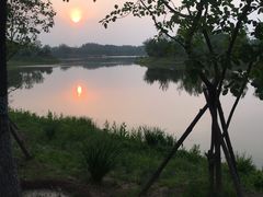 -东郊湿地公园