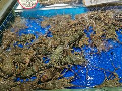 -徐记海鲜(大明宫|北二环店)