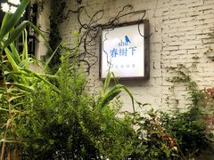 -春树下·树屋花房西餐厅(罍街AS1980店)