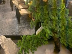 -洪氏嗨捞·猪肚鸡火锅(阳光天地店)