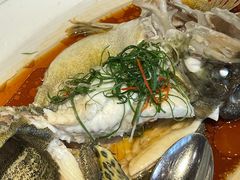 椒麻蒸桂花鱼-玫瑰厅上海菜(兴国路店)