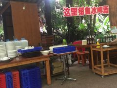 -绿光森林餐厅