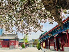 -天津大悲禅院