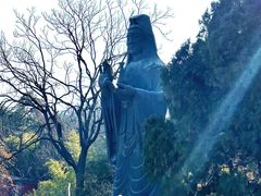 -千佛山风景名胜区