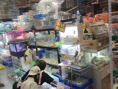 -大自然花鸟鱼虫市场