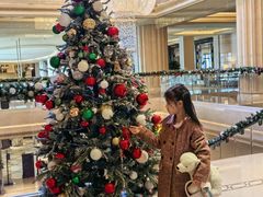 -上海外滩华尔道夫酒店