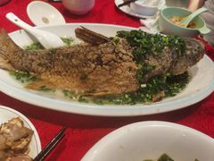 -粤北餐馆