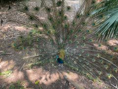 -南山风景名胜区