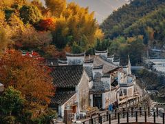 -四明山国家森林公园
