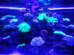 -上和臻品中国菜(花园街店)