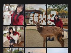 -盈香心动乐园