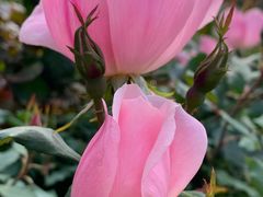 -人民公园(罗湖区)