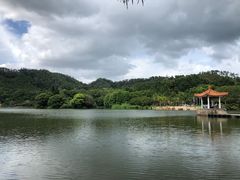 -深圳仙湖植物园-停车场