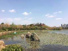 -洛龙公园