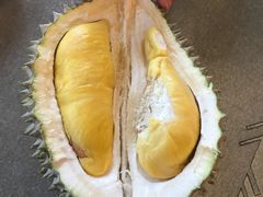 -都念榴莲·城市榴莲