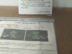 -成都失恋馆