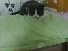 -有宠宠物(YOUCOIN·未来店)