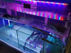 -鸯潭·云南原生态蒸汽石锅鱼(丽景蓝湾店)