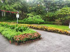 -福田红树林生态公园