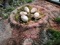 -湖南省地质博物馆