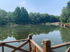 -云岗森林公园