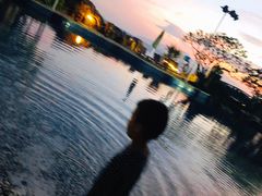 -采粤轩中餐厅(惠州金海湾喜来登度假酒店)