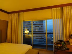 -新加坡瑞士史丹福酒店