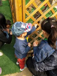 -萌宠亲子动物乐园(槐房万达店)