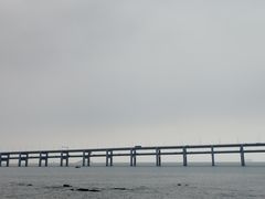 -星海湾跨海大桥