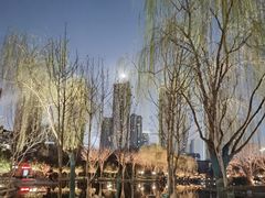 -木塔寺遗址生态公园