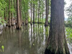 -东湖落雁景区